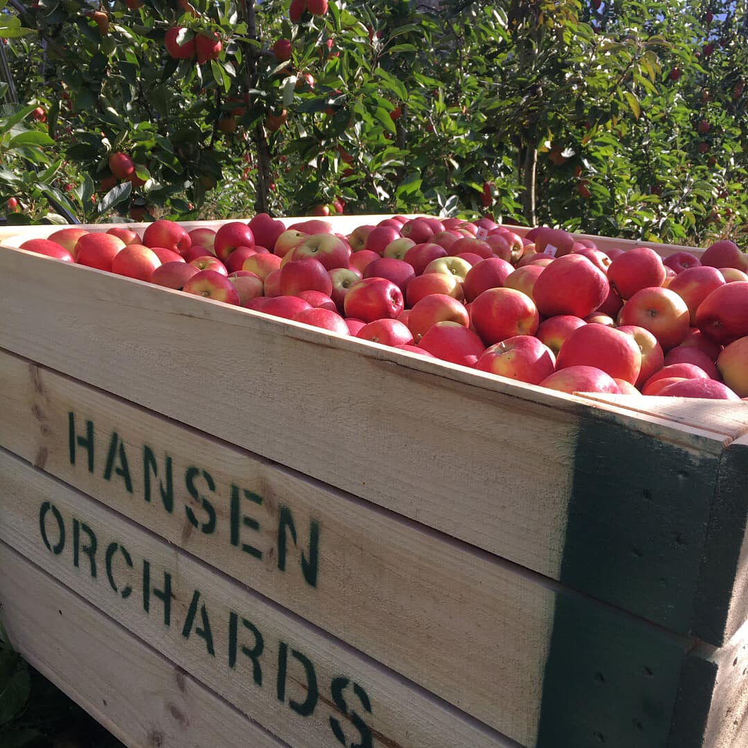 Hansen Orchards